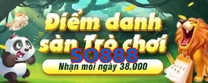 SO888